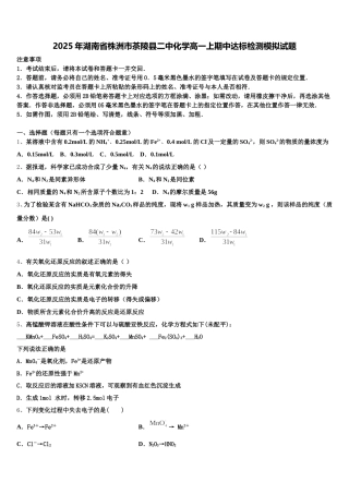 2025年湖南省株洲市茶陵县二中化学高一上期中达标检测模拟试题含解析