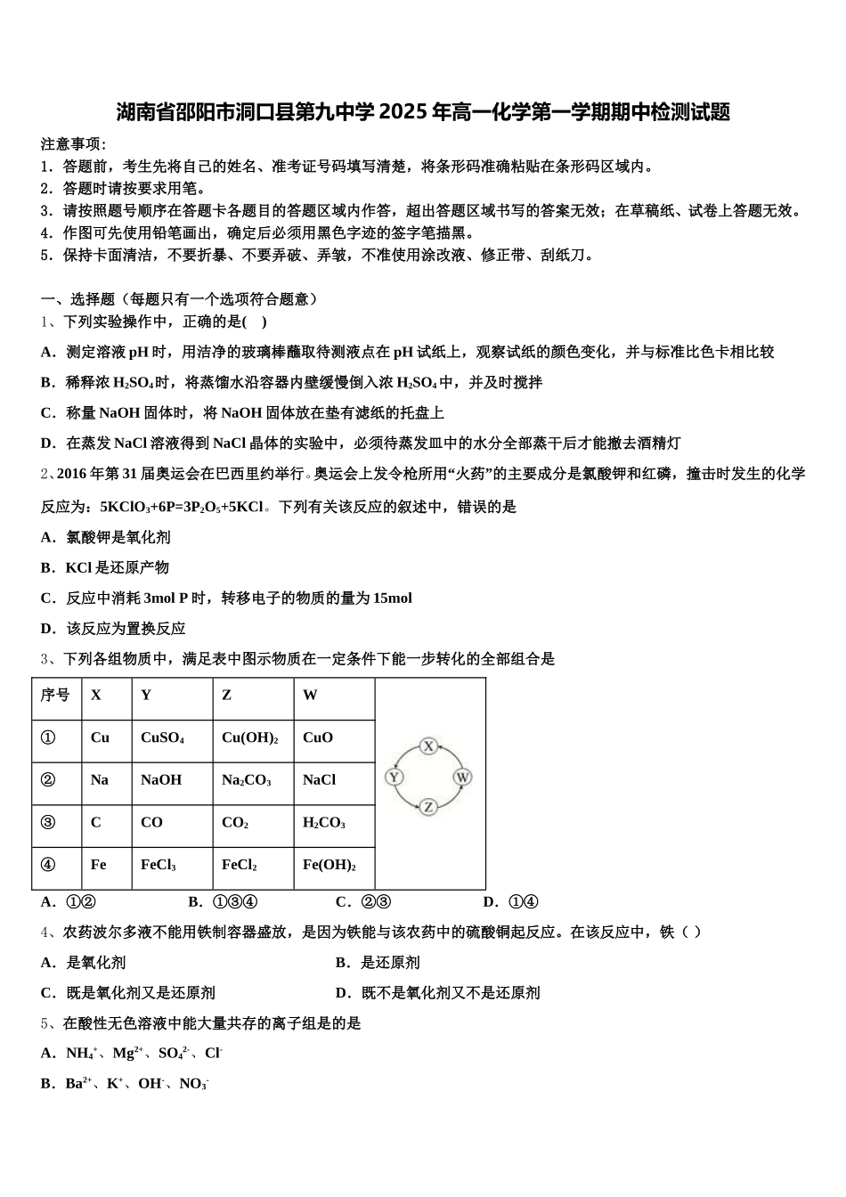 湖南省邵阳市洞口县第九中学2025年高一化学第一学期期中检测试题含解析_第1页