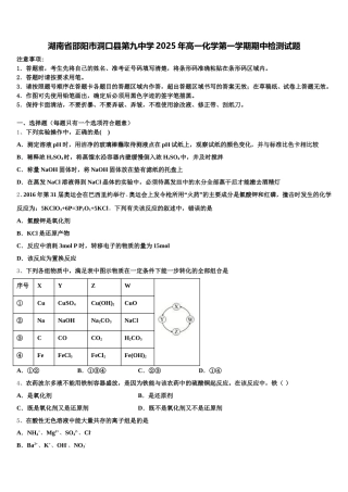 湖南省邵阳市洞口县第九中学2025年高一化学第一学期期中检测试题含解析