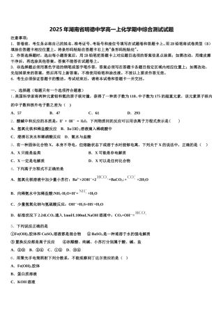 2025年湖南省明德中学高一上化学期中综合测试试题含解析