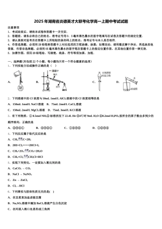 2025年湖南省炎德英才大联考化学高一上期中考试试题含解析