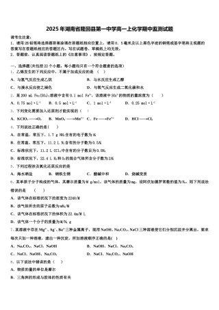 2025年湖南省隆回县第一中学高一上化学期中监测试题含解析