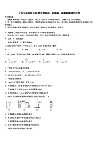 2025年湖南G10教育联盟高一化学第一学期期中调研试题含解析