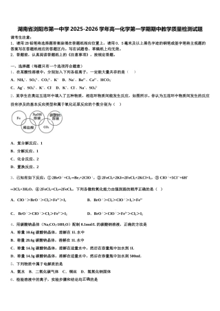 湖南省浏阳市第一中学2025-2026学年高一化学第一学期期中教学质量检测试题含解析