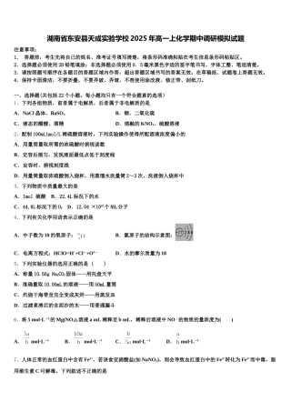 湖南省东安县天成实验学校2025年高一上化学期中调研模拟试题含解析