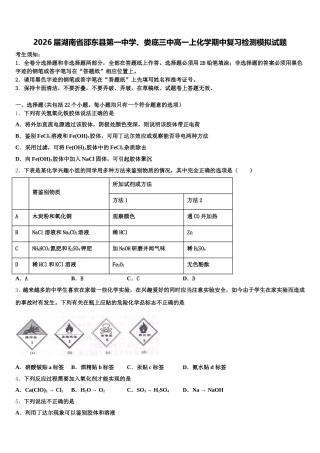 2026届湖南省邵东县第一中学、娄底三中高一上化学期中复习检测模拟试题含解析