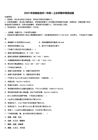 2025年安徽省池州一中高一上化学期中预测试题含解析