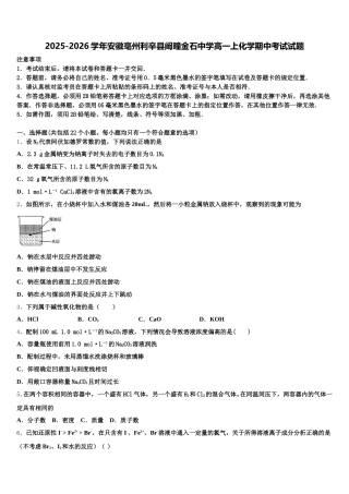2025-2026学年安徽亳州利辛县阚疃金石中学高一上化学期中考试试题含解析