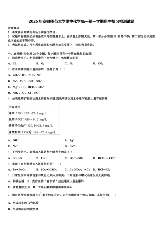 2025年安徽师范大学附中化学高一第一学期期中复习检测试题含解析