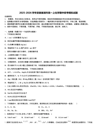 2025-2026学年安徽巢湖市高一上化学期中统考模拟试题含解析
