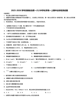 2025-2026学年安徽省合肥一六八中学化学高一上期中达标检测试题含解析