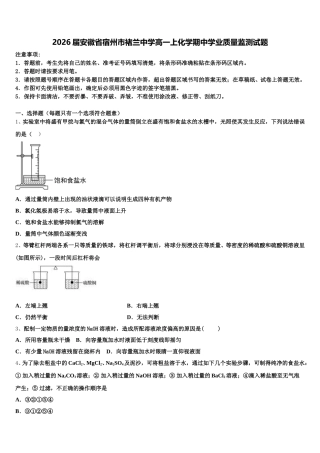 2026届安徽省宿州市褚兰中学高一上化学期中学业质量监测试题含解析