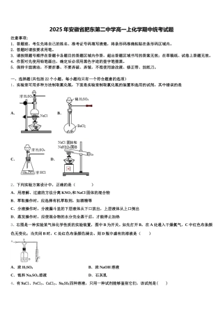 2025年安徽省肥东第二中学高一上化学期中统考试题含解析