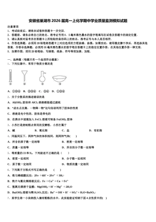 安徽省巢湖市2026届高一上化学期中学业质量监测模拟试题含解析