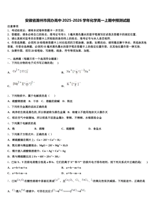 安徽省滁州市民办高中2025-2026学年化学高一上期中预测试题含解析