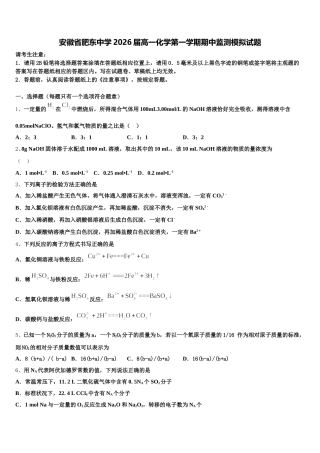 安徽省肥东中学2026届高一化学第一学期期中监测模拟试题含解析