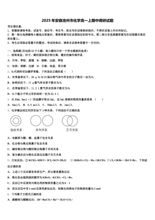 2025年安徽池州市化学高一上期中调研试题含解析