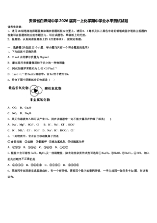 安徽省白泽湖中学2026届高一上化学期中学业水平测试试题含解析