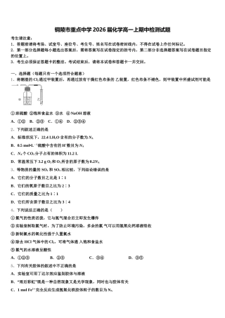 铜陵市重点中学2026届化学高一上期中检测试题含解析
