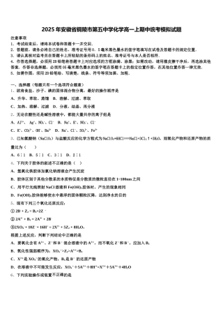 2025年安徽省铜陵市第五中学化学高一上期中统考模拟试题含解析