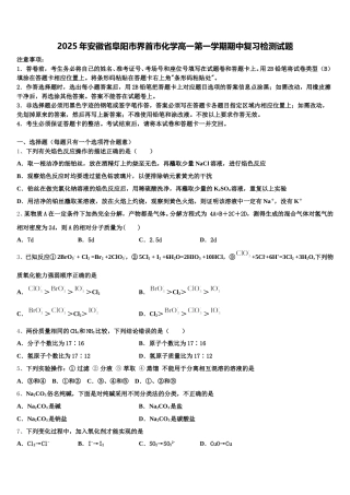 2025年安徽省阜阳市界首市化学高一第一学期期中复习检测试题含解析