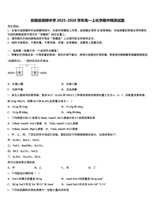 安徽省炳辉中学2025-2026学年高一上化学期中预测试题含解析