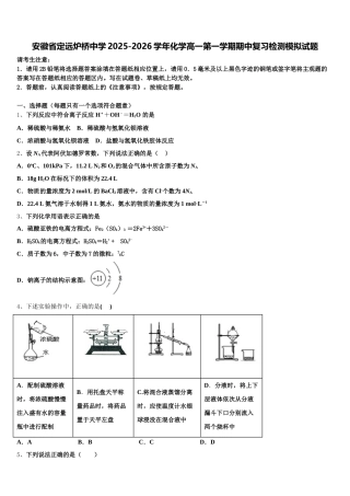 安徽省定远炉桥中学2025-2026学年化学高一第一学期期中复习检测模拟试题含解析