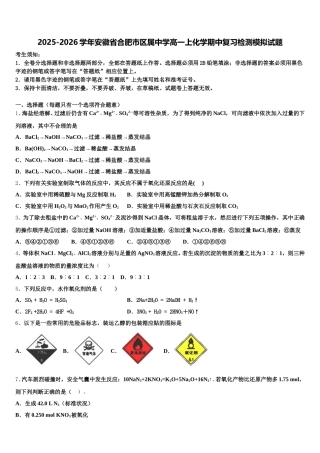 2025-2026学年安徽省合肥市区属中学高一上化学期中复习检测模拟试题含解析