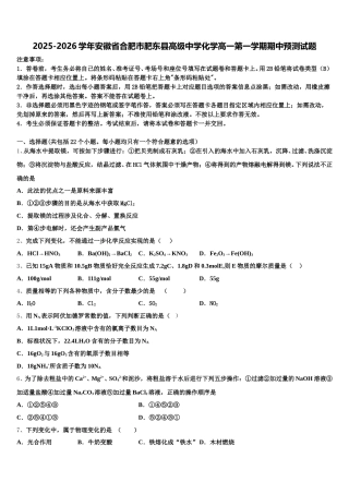2025-2026学年安徽省合肥市肥东县高级中学化学高一第一学期期中预测试题含解析