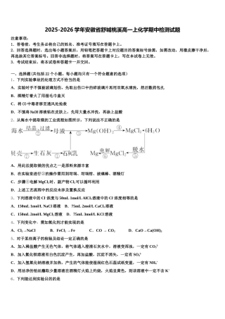 2025-2026学年安徽省舒城桃溪高一上化学期中检测试题含解析