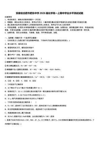 安徽省合肥市肥东中学2026届化学高一上期中学业水平测试试题含解析