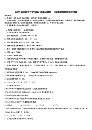 2025年安徽省六安市青山中学化学高一上期中质量跟踪监视试题含解析