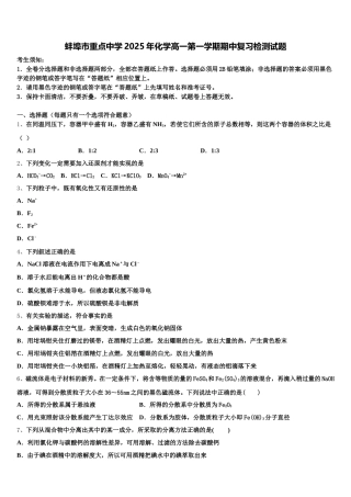 蚌埠市重点中学2025年化学高一第一学期期中复习检测试题含解析