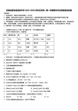 安徽省肥东县圣泉中学2025-2026学年化学高一第一学期期中学业质量监测试题含解析