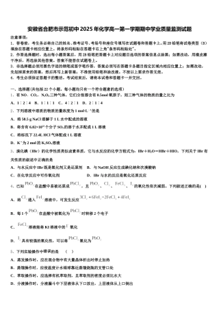 安徽省合肥市示范初中2025年化学高一第一学期期中学业质量监测试题含解析