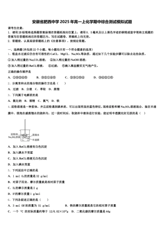 安徽省肥西中学2025年高一上化学期中综合测试模拟试题含解析