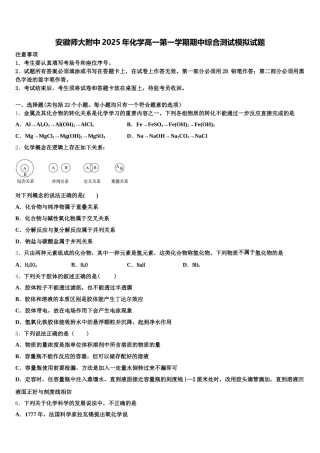安徽师大附中2025年化学高一第一学期期中综合测试模拟试题含解析