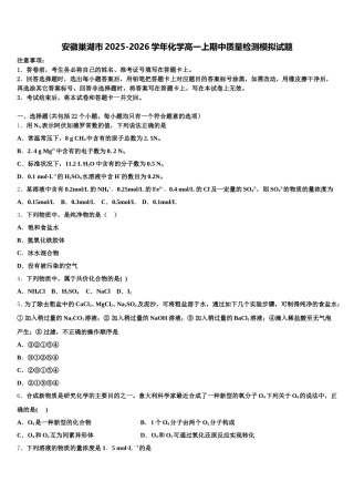 安徽巢湖市2025-2026学年化学高一上期中质量检测模拟试题含解析