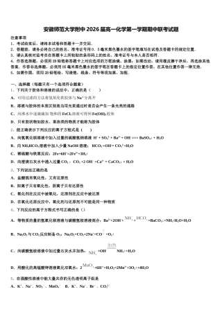 安徽师范大学附中2026届高一化学第一学期期中联考试题含解析