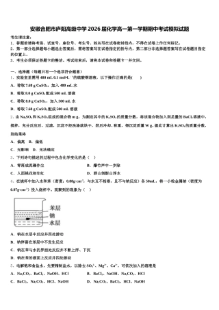 安徽合肥市庐阳高级中学2026届化学高一第一学期期中考试模拟试题含解析