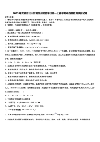 2025年安徽省北大附属宿州实验学校高一上化学期中质量检测模拟试题含解析