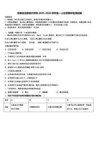 安徽省合肥高升学校2025-2026学年高一上化学期中检测试题含解析