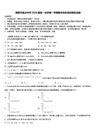 铜陵市重点中学2026届高一化学第一学期期中综合测试模拟试题含解析