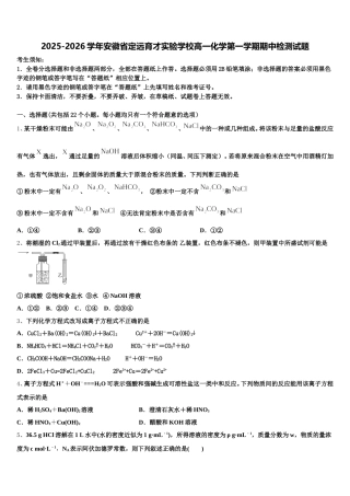 2025-2026学年安徽省定远育才实验学校高一化学第一学期期中检测试题含解析