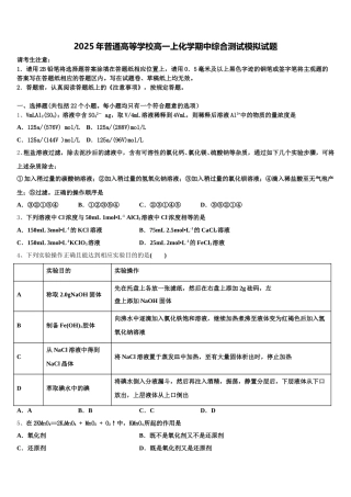2025年普通高等学校高一上化学期中综合测试模拟试题