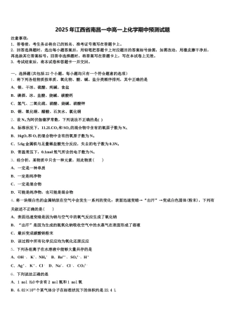 2025年江西省南昌一中高一上化学期中预测试题含解析