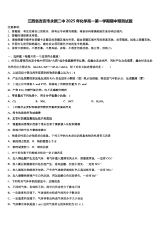 江西省吉安市永新二中2025年化学高一第一学期期中预测试题含解析