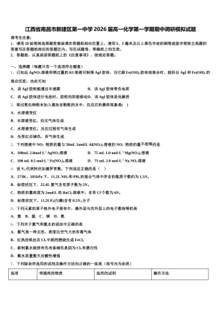 江西省南昌市新建区第一中学2026届高一化学第一学期期中调研模拟试题含解析