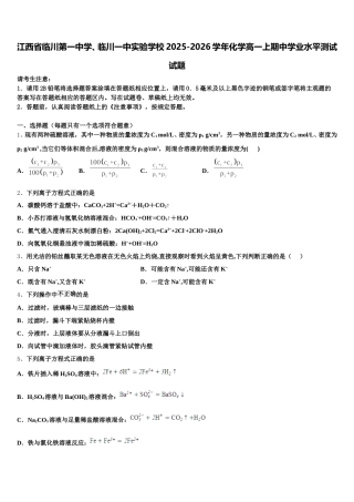 江西省临川第一中学、临川一中实验学校2025-2026学年化学高一上期中学业水平测试试题含解析