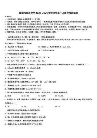 新余市重点中学2025-2026学年化学高一上期中预测试题含解析